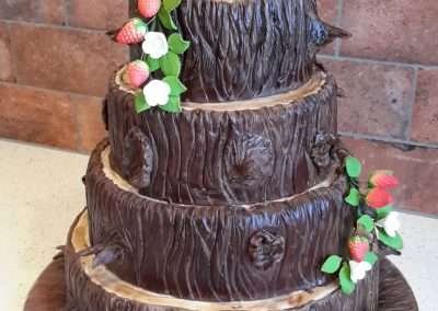Page, Chocolate Wedding Cake Gallery